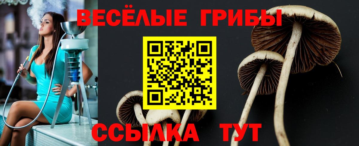 наркошоп  Вход с VPN  Чистополь  Галлюциногенные грибы ЛСД 
